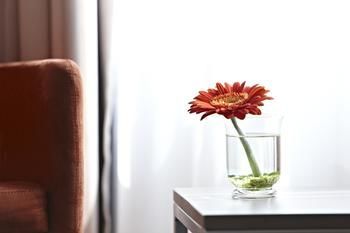 Intercityhotel Enschede